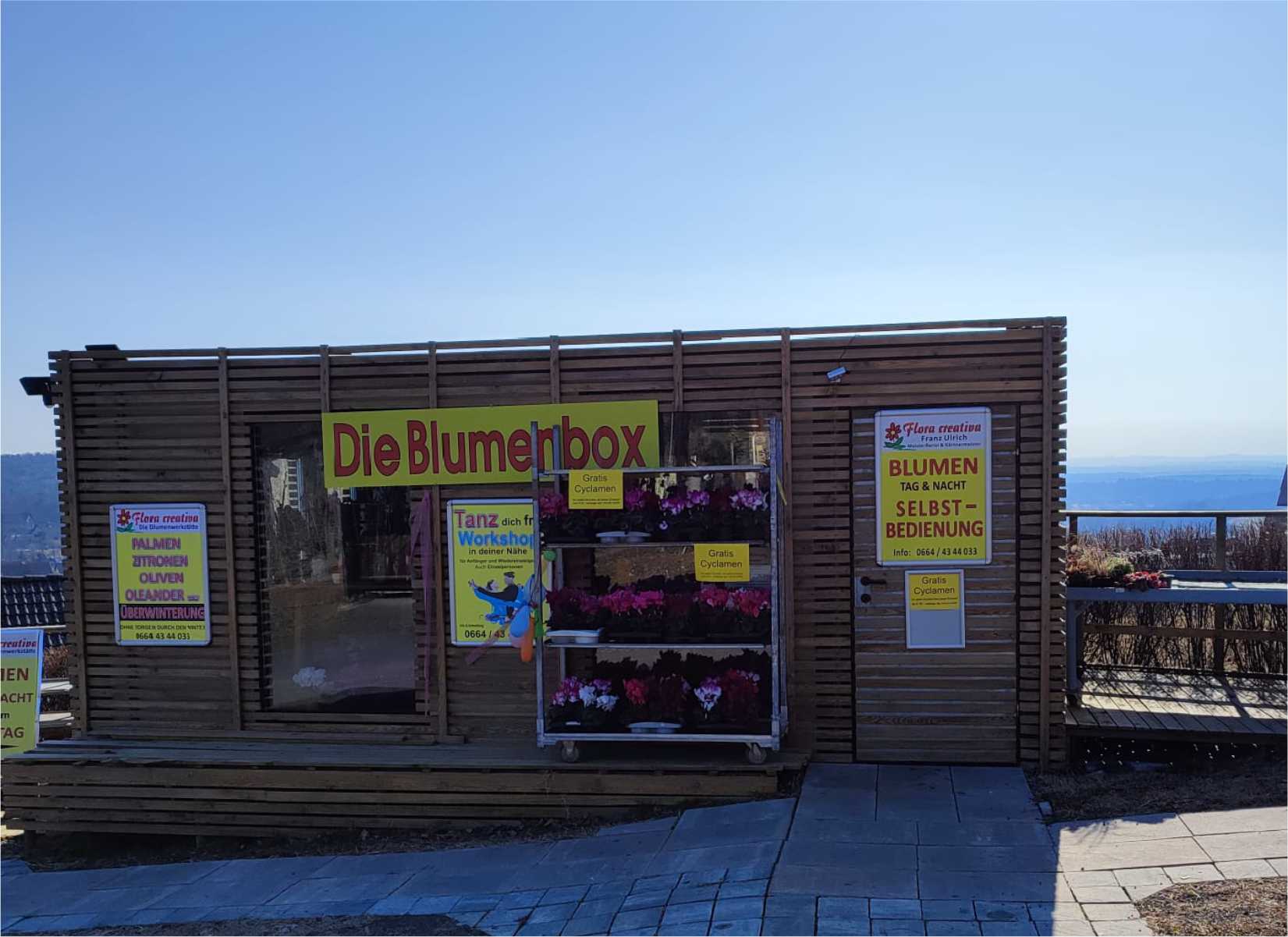 Blumenbox in Klöch
